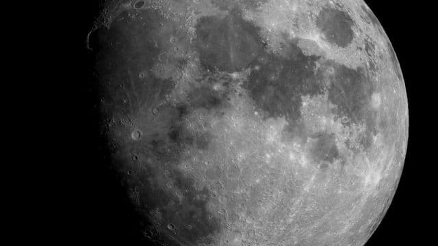 Moon Bloom Music & Arts Festival