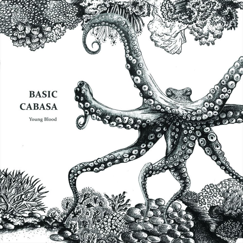 Basic – Edm