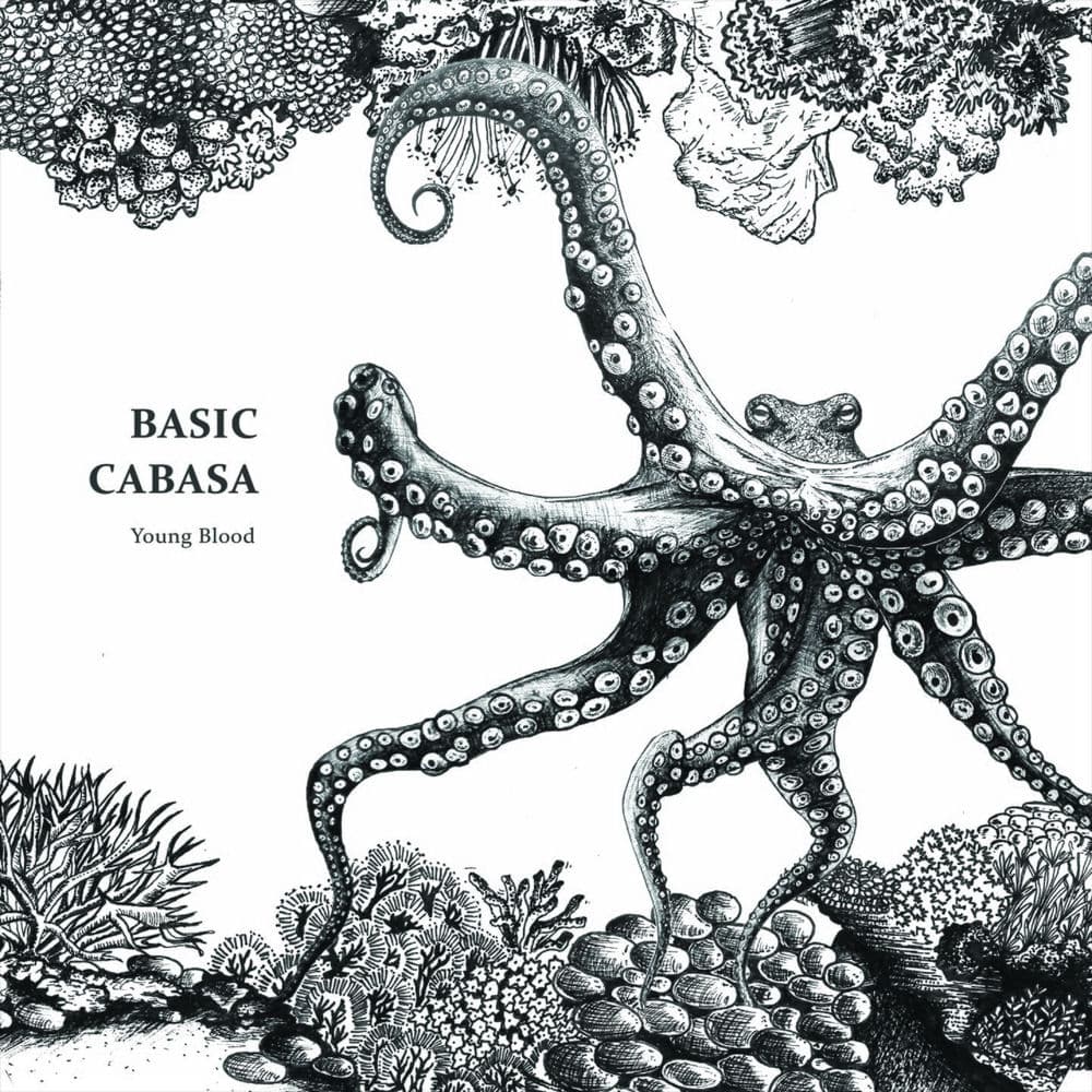 Basic – Edm