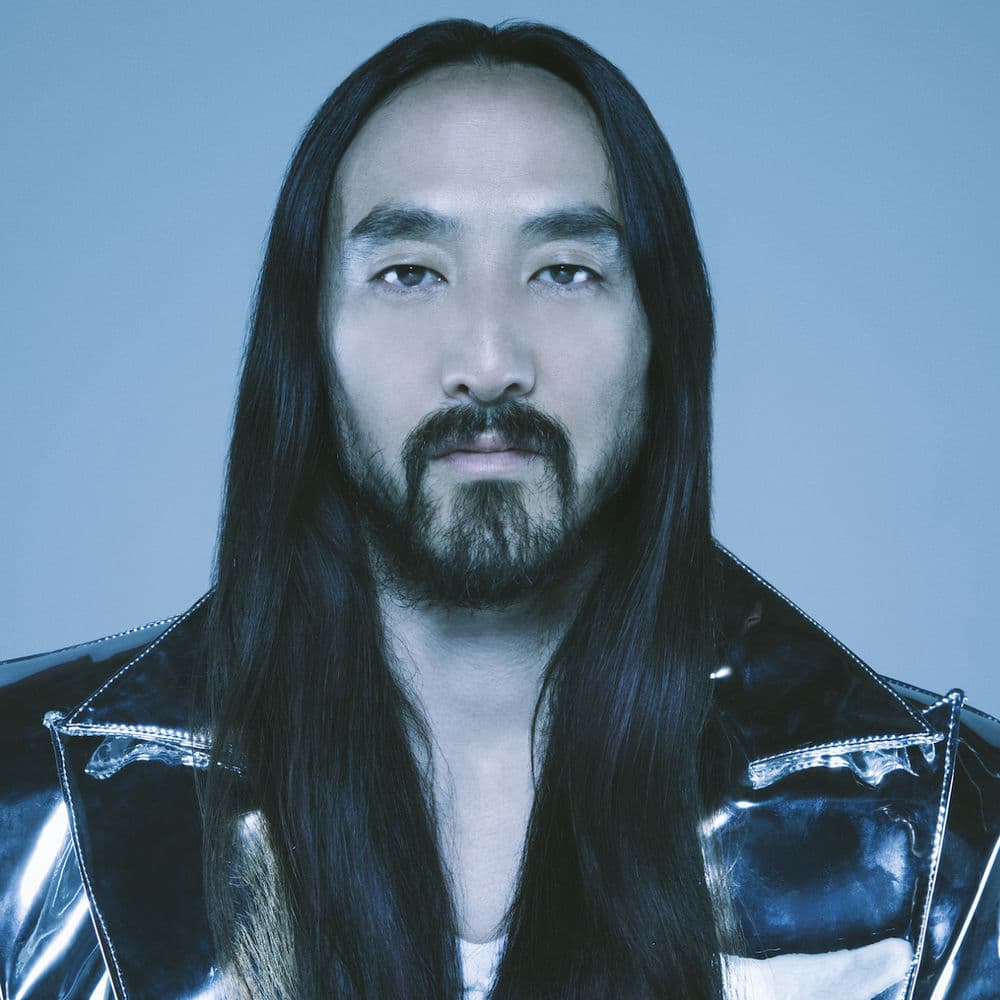 STEVE AOKI – Electro House