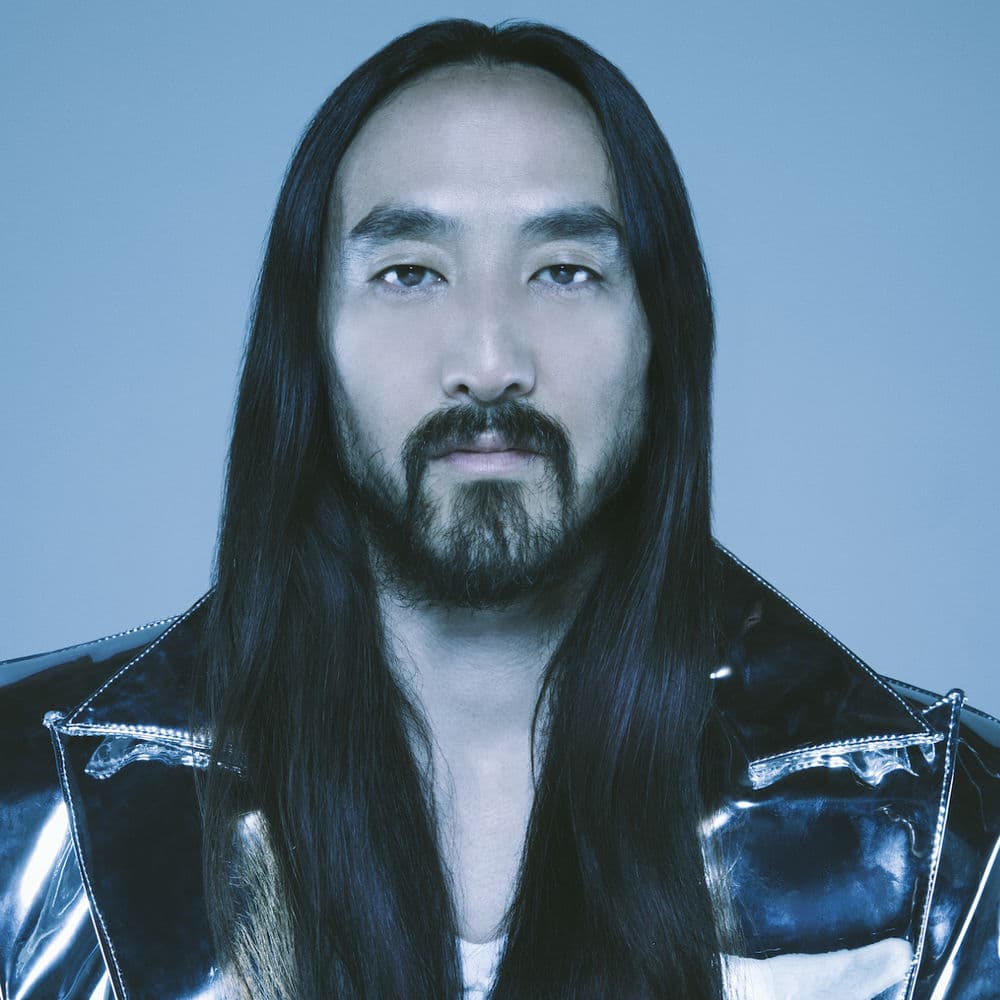 STEVE AOKI – House