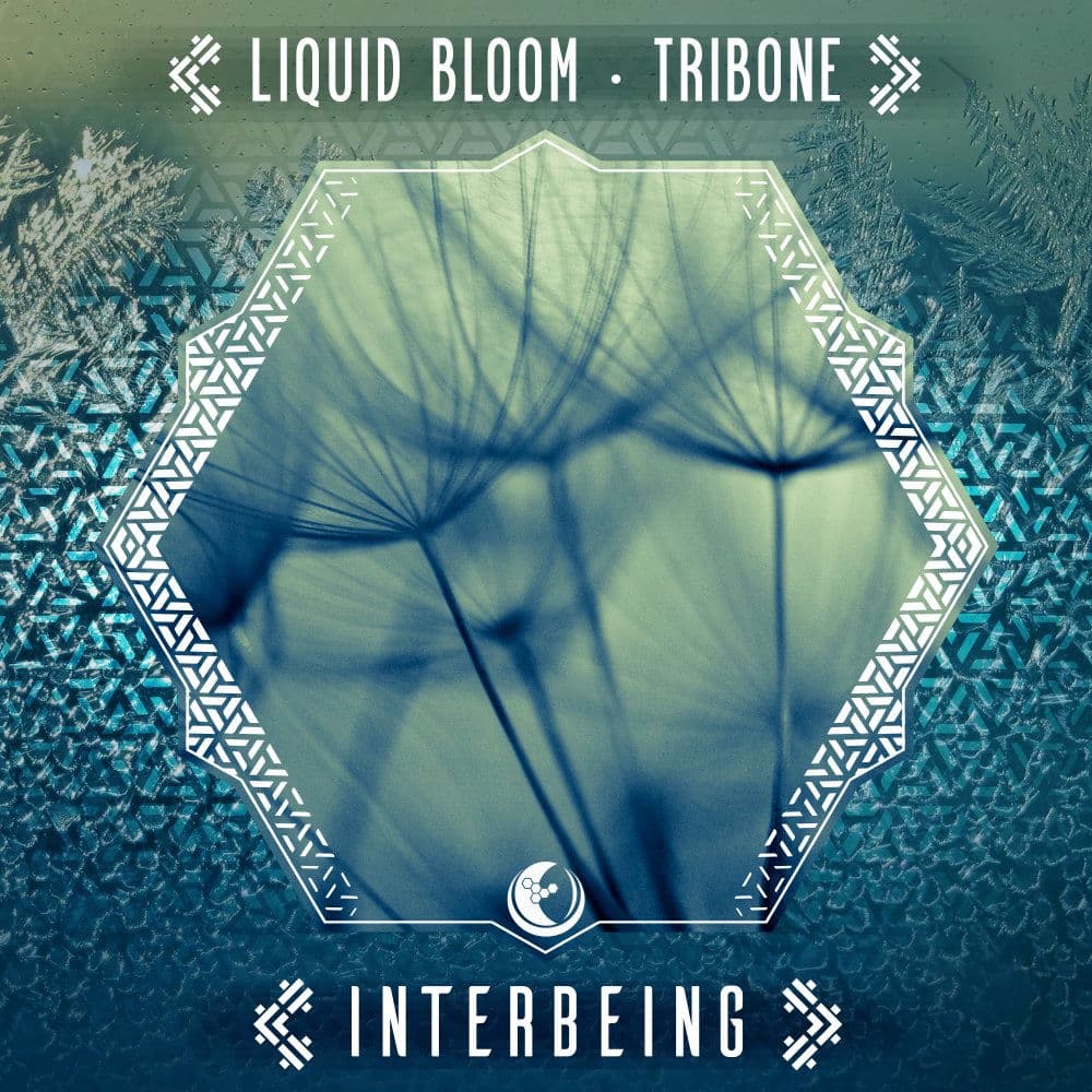 TRIBONE – Electro