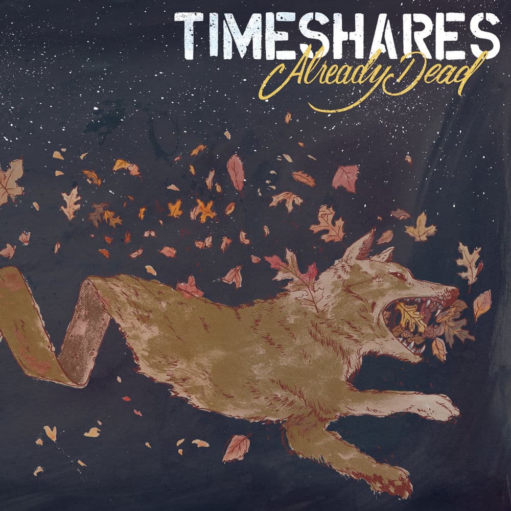 Timeshares – Alternative