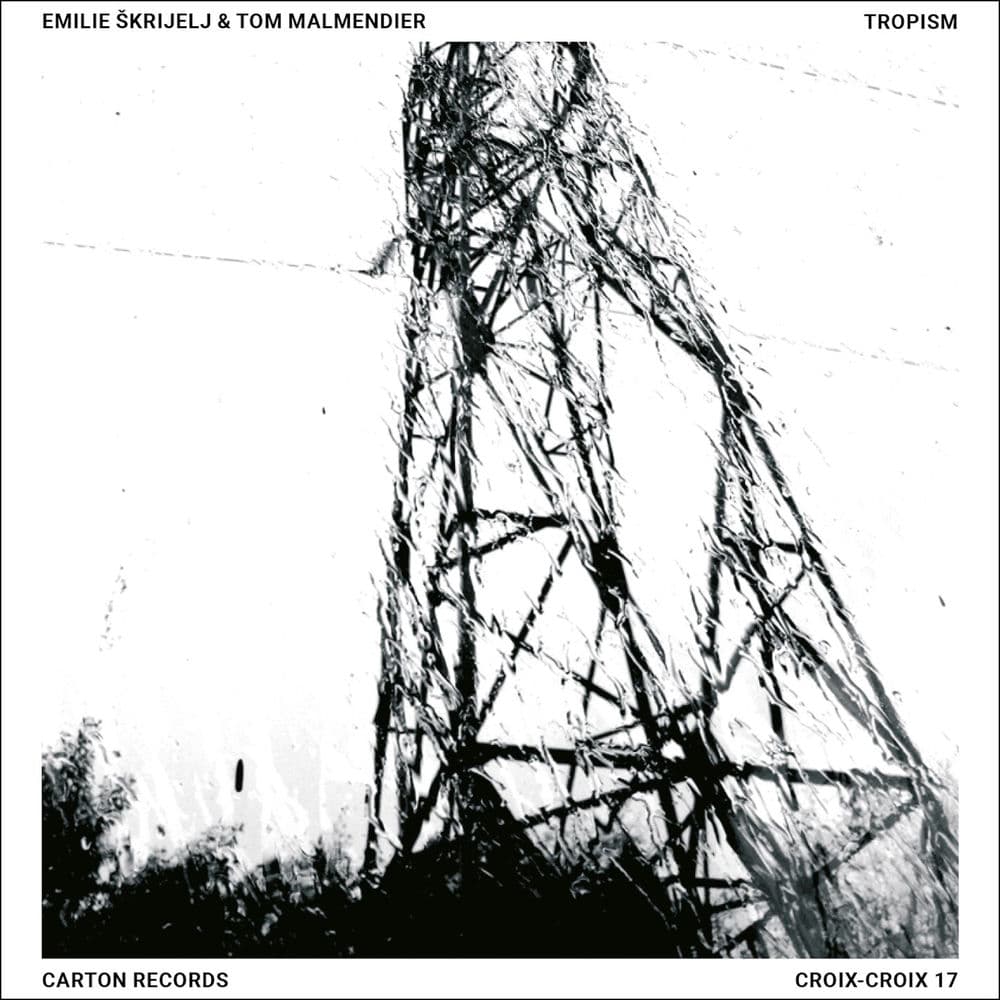 Tom Malmendier – Idm