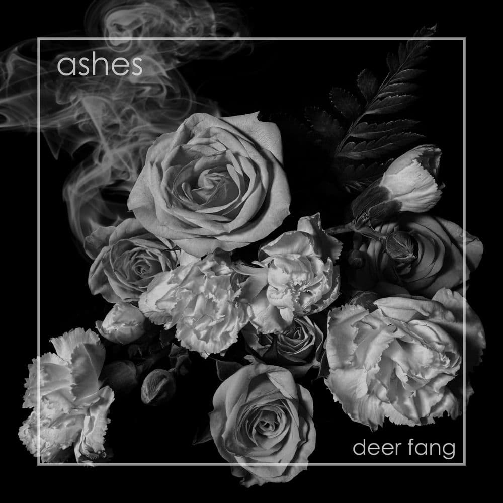 Deer Fang – Indie Rock