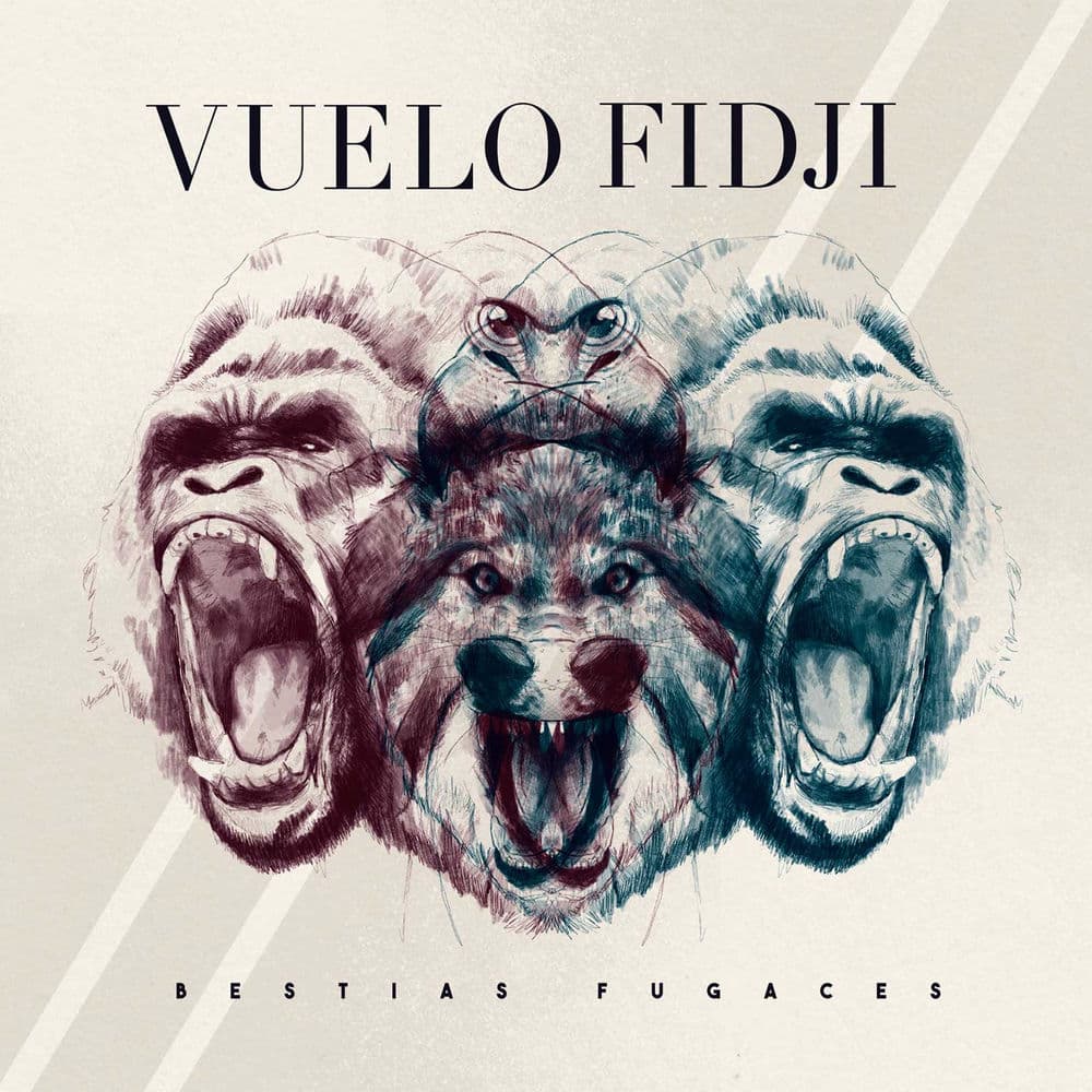 Vuelo Fidji