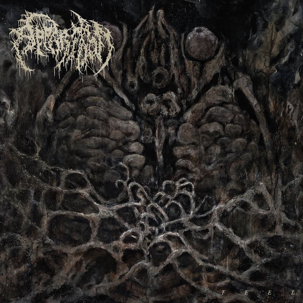 Apparition – Dance