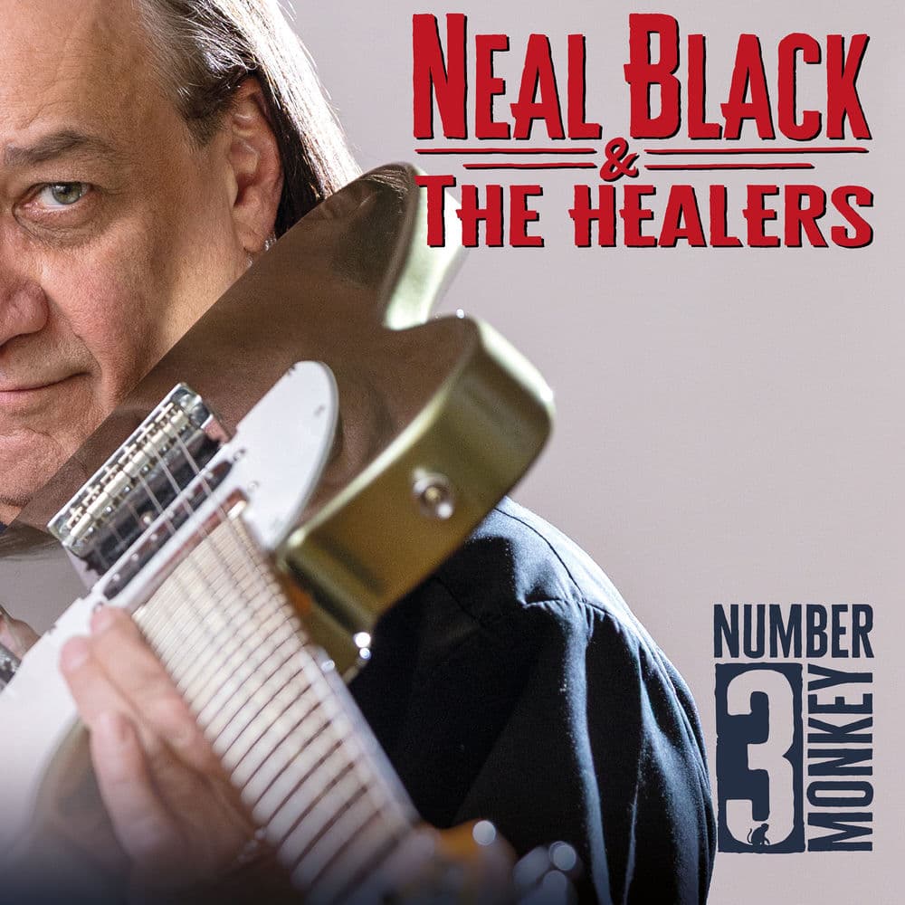 NEAL BLACK & THE HEALERS
