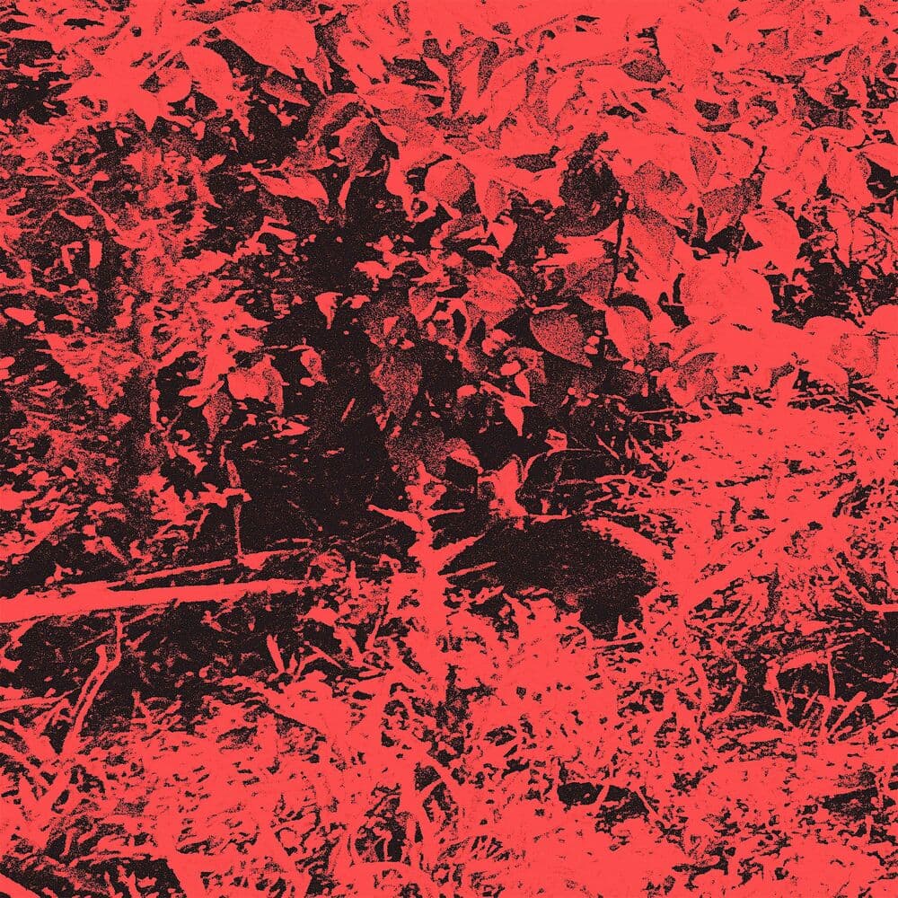 TRHÄ – Rock