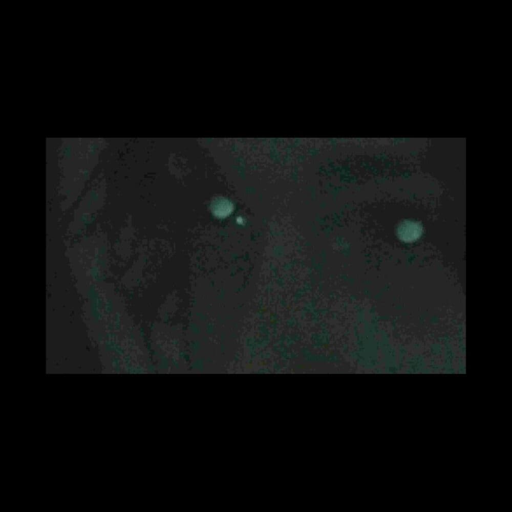 Notinbed – Hyperpop
