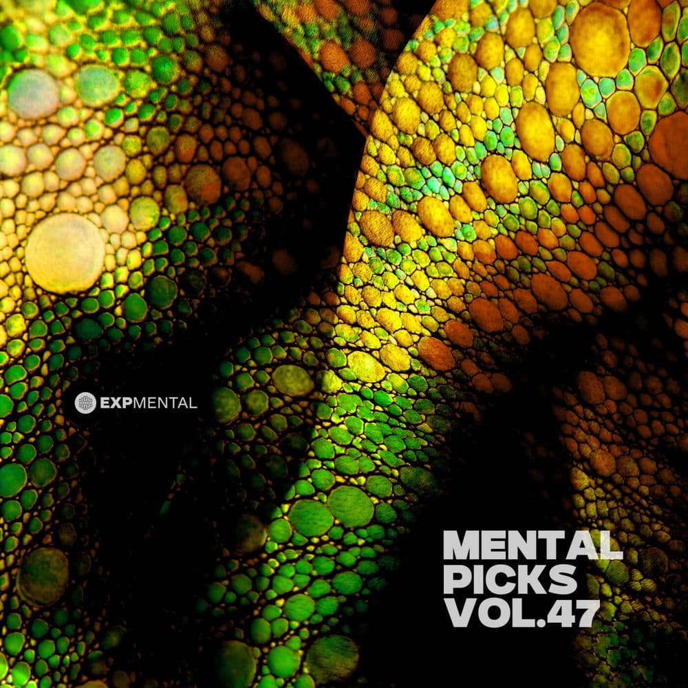 BONNIE DRASKO – Electro
