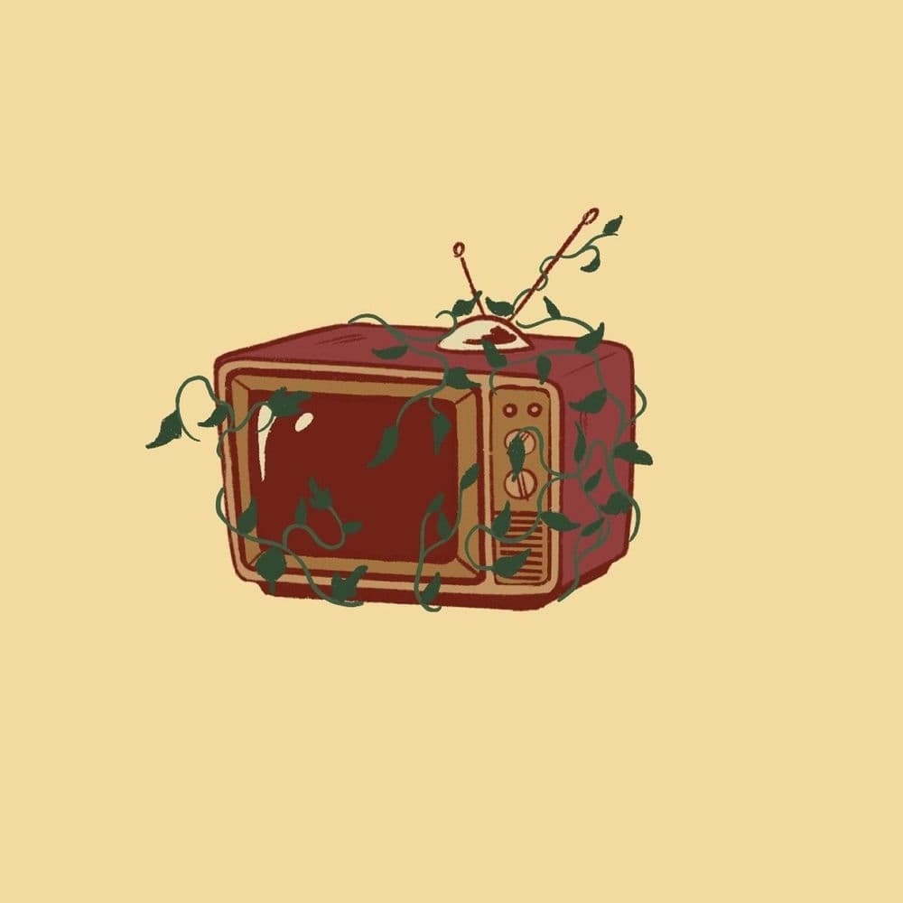 Sotabosc – Reggae