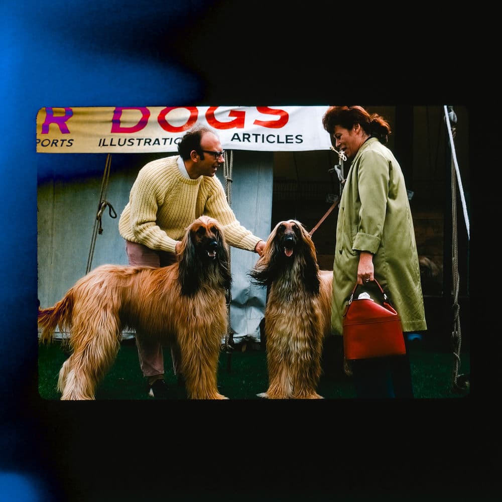 Anna’s Number – Pop