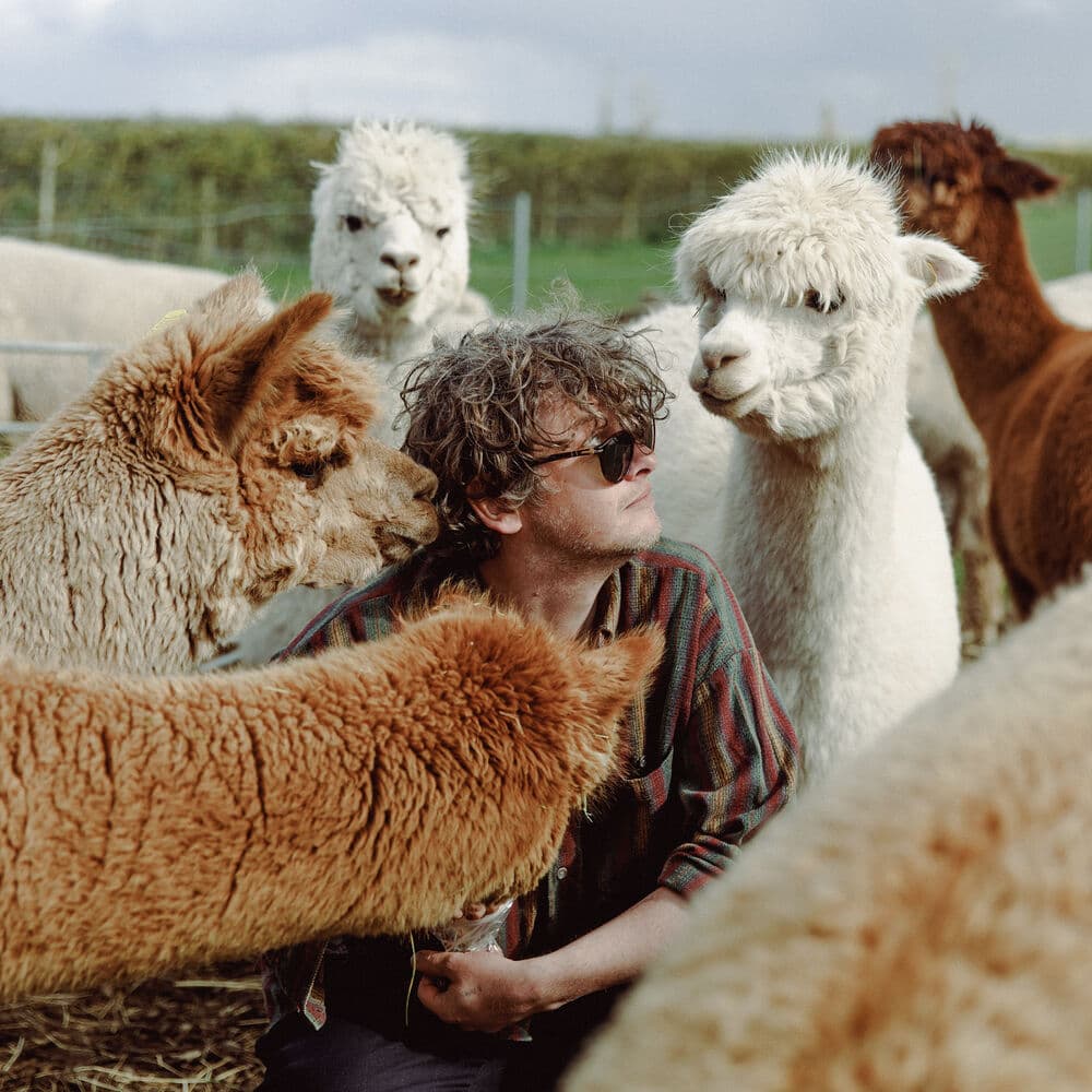 Bill Ryder-Jones – Indie Rock