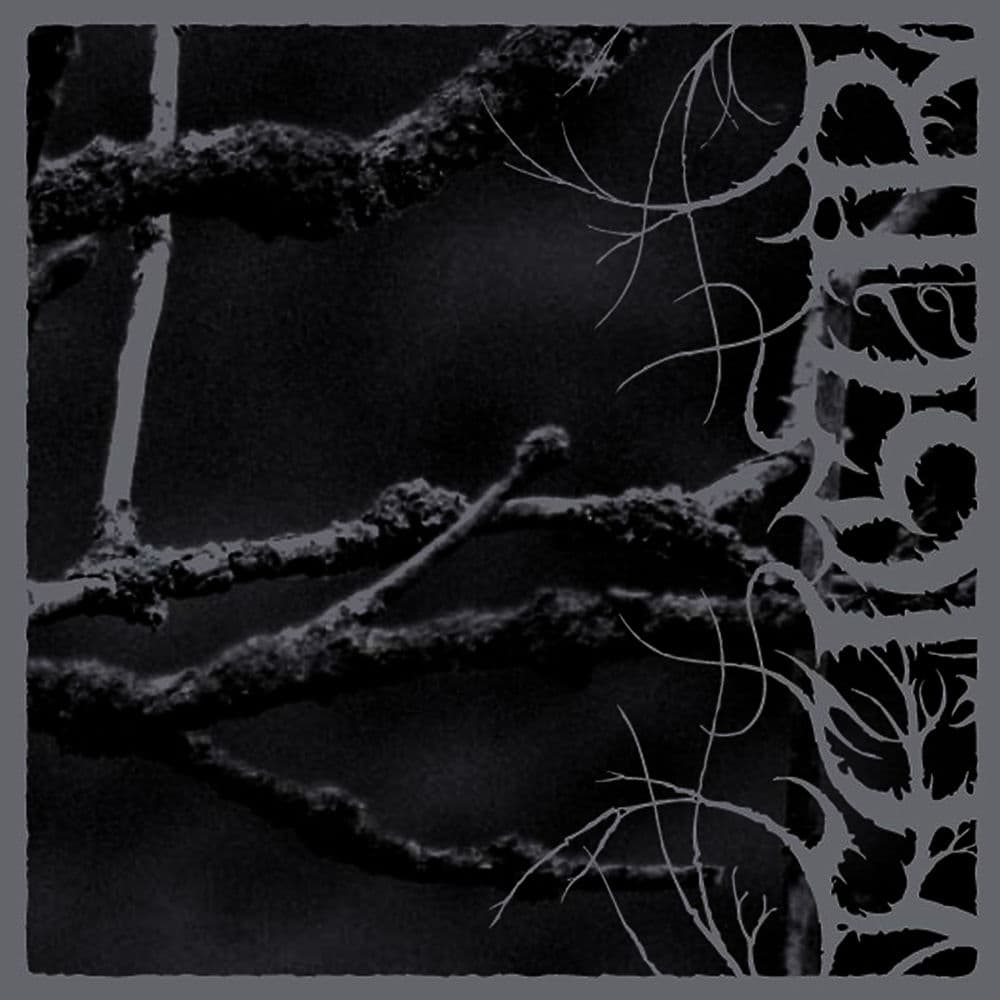 Feigur – Rock