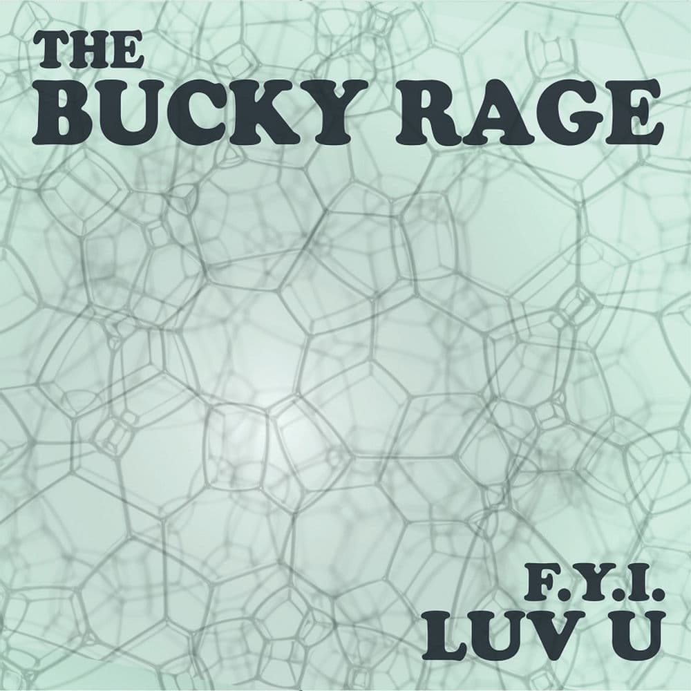 The Bucky Rage – Scotland