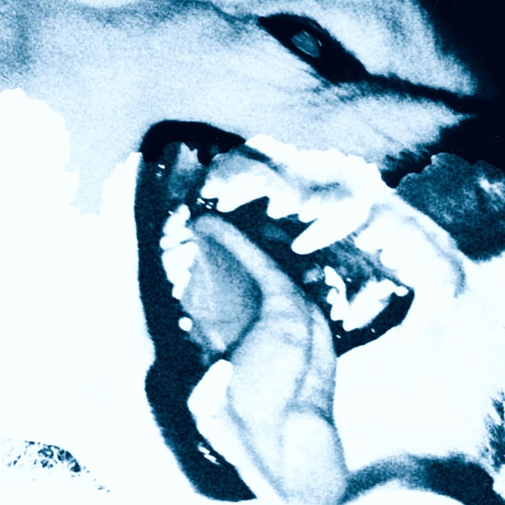 Spacecadetbloom – Shoegaze