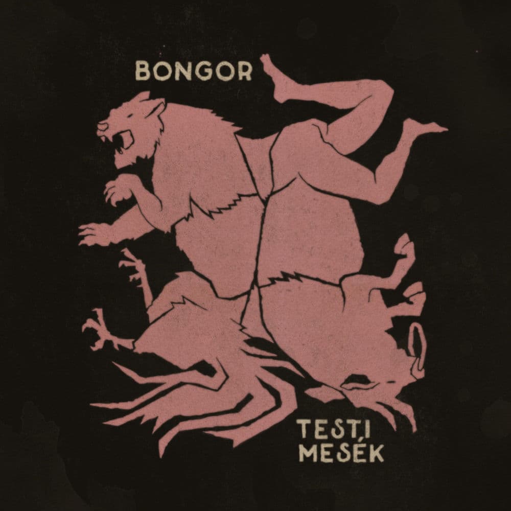 Bongor – Hip-Hop