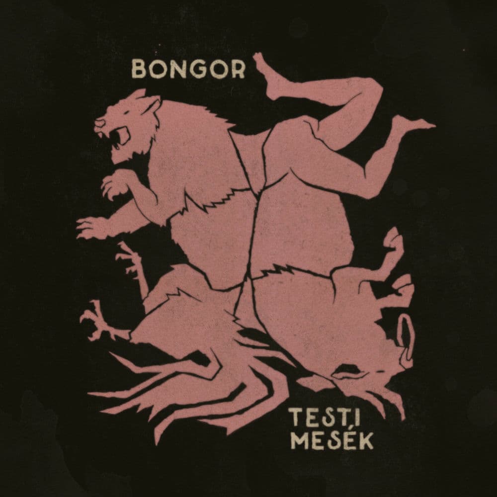 Bongor – Hip-Hop