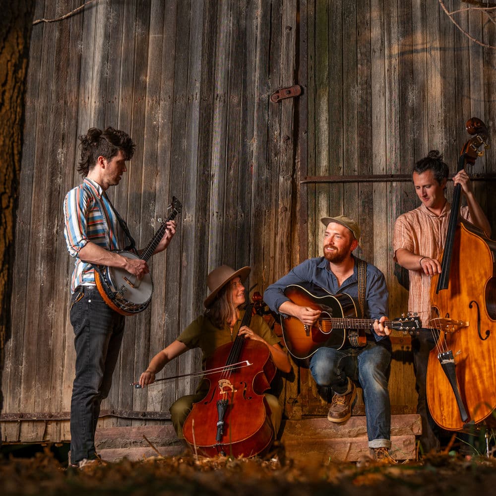 Sturtz – Folk