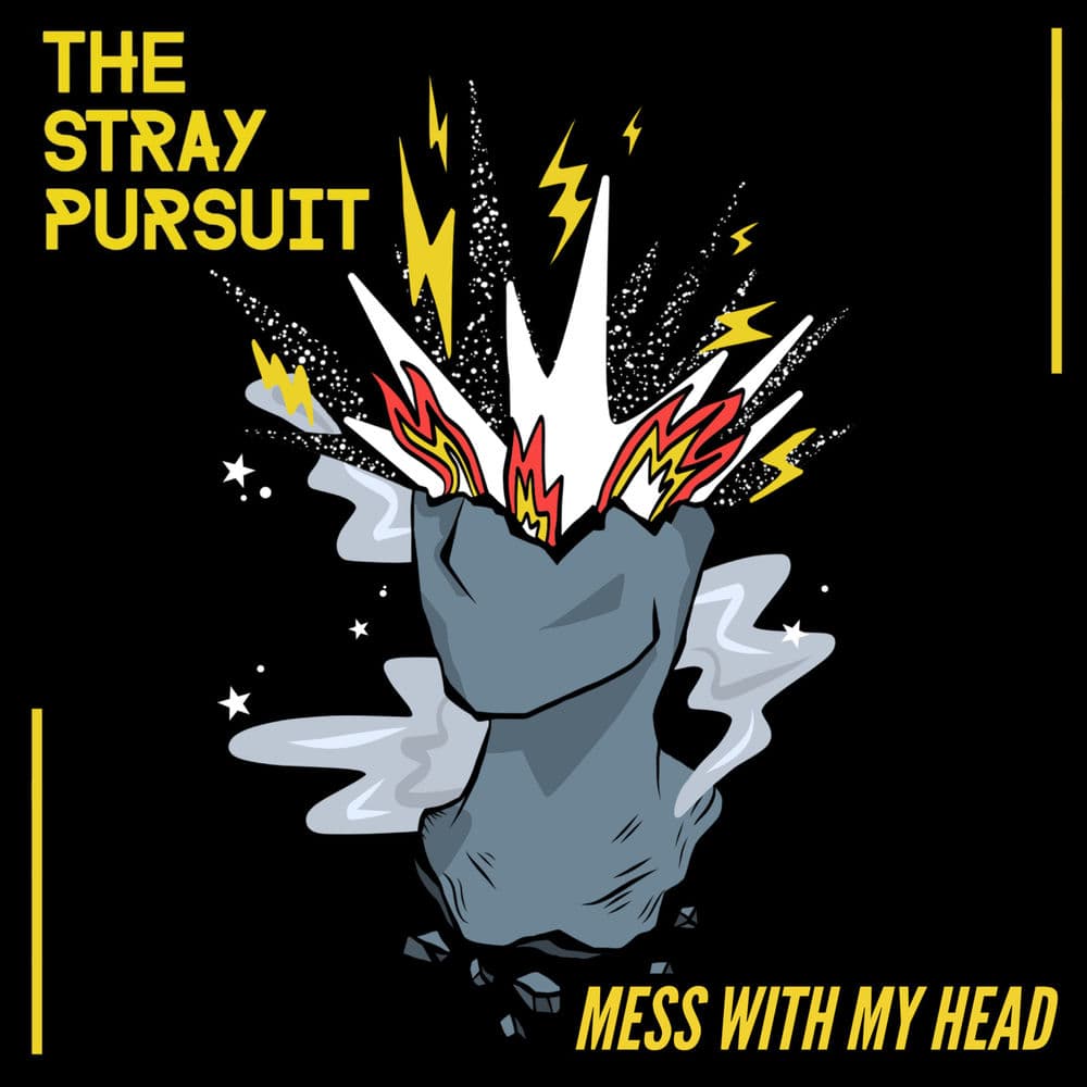The Stray Pursuit