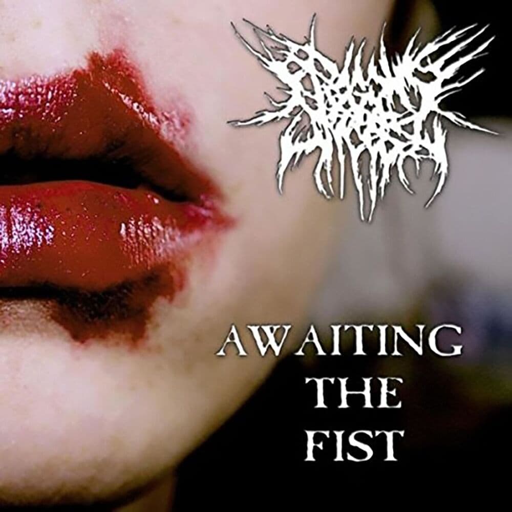 Begging for Incest – Heavy Metal