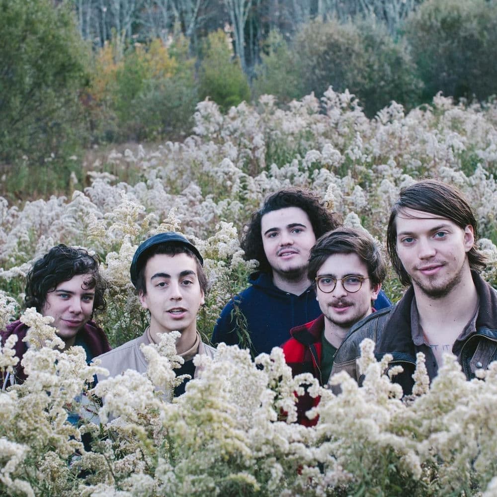 Twin Peaks – Rock