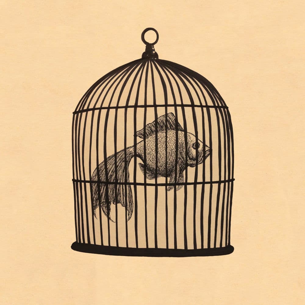 Fish in a Birdcage – Folk