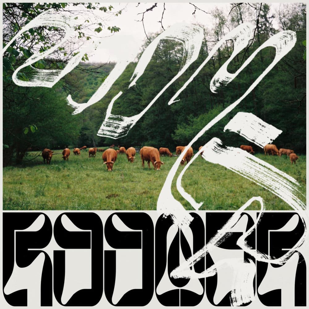 Roomer – Alternative