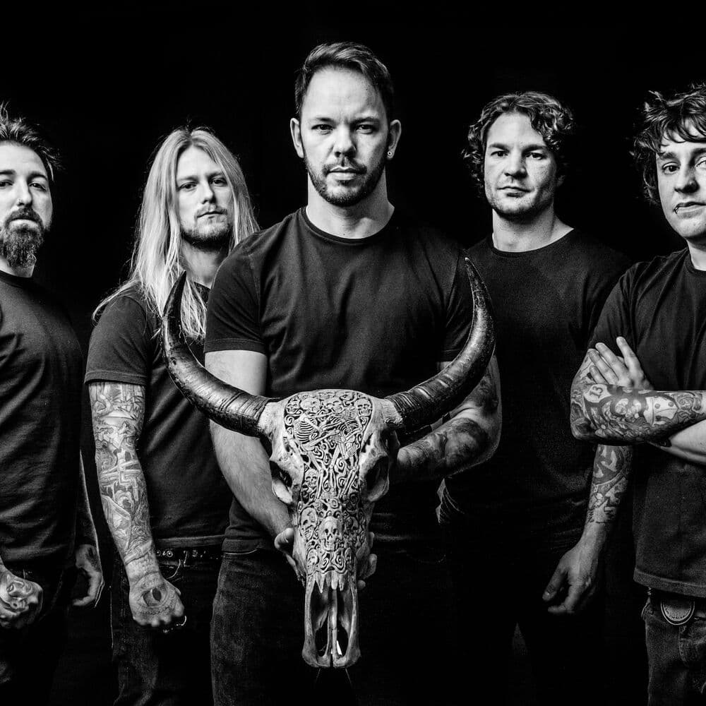 Those Damn Crows – Hard Rock