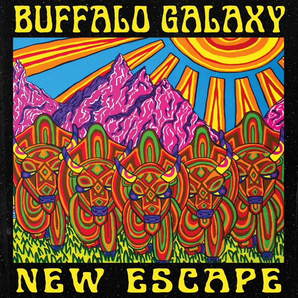 Buffalo Galaxy