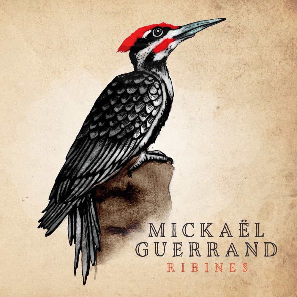 Mickael Guerrand – Pop
