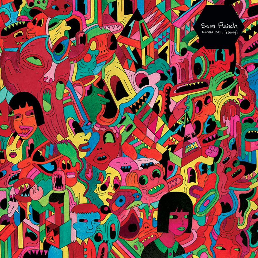 SAM FLEISCH – Indie Rock