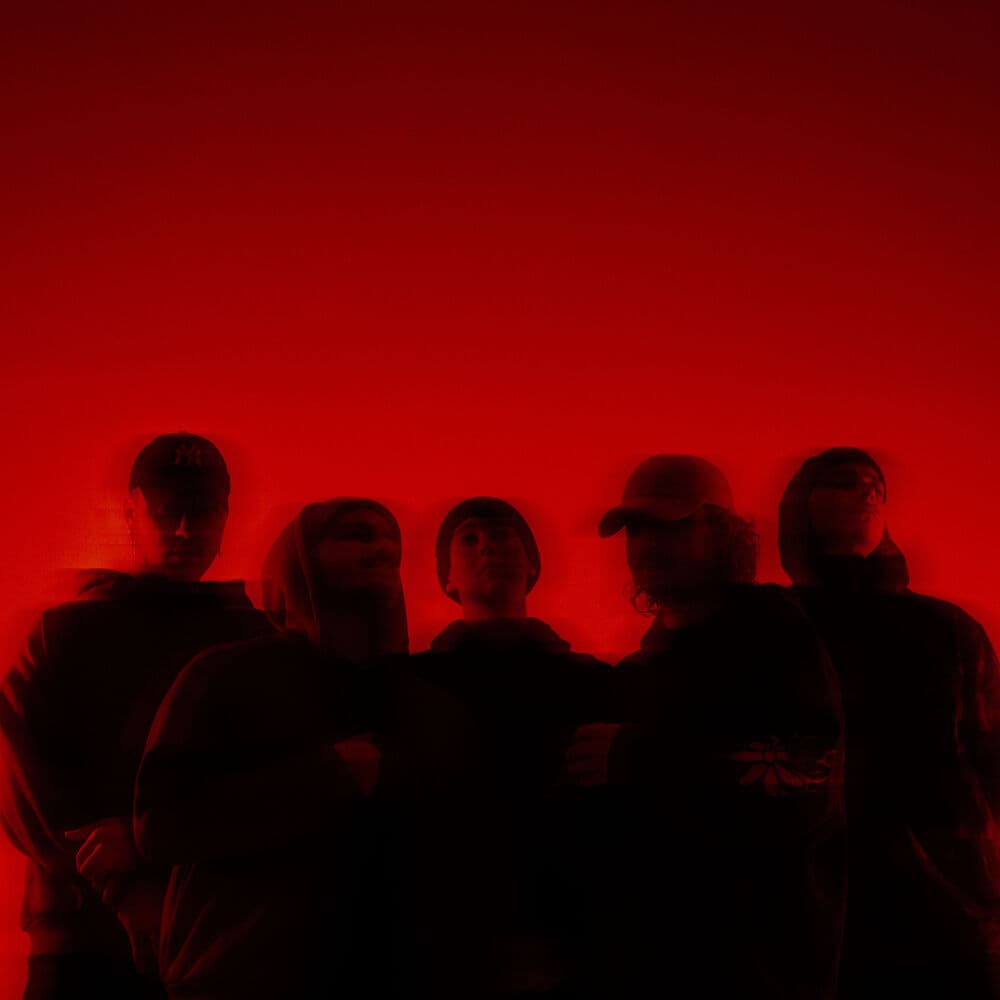 Accvsed – Rock