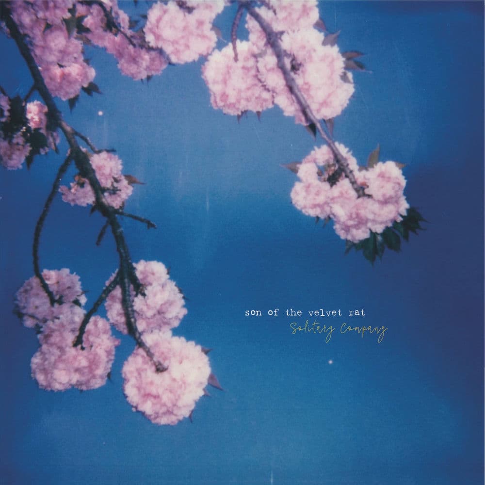 Son of the Velvet Rat – Country
