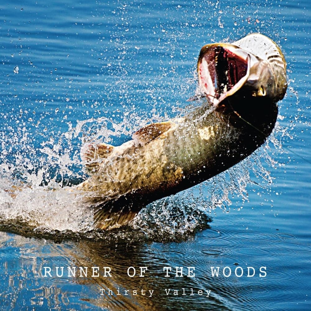 Runner of the Woods – Rock