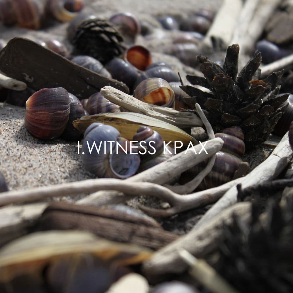 I-Witness