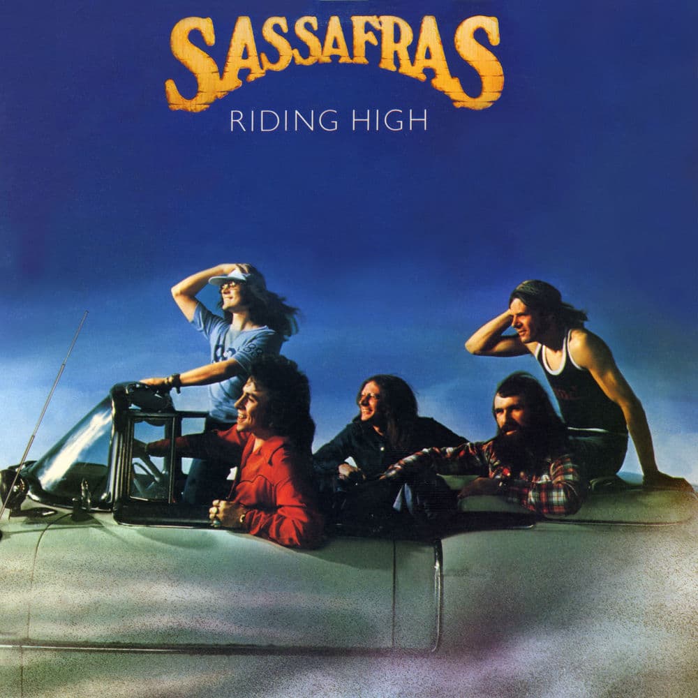 Sassafras