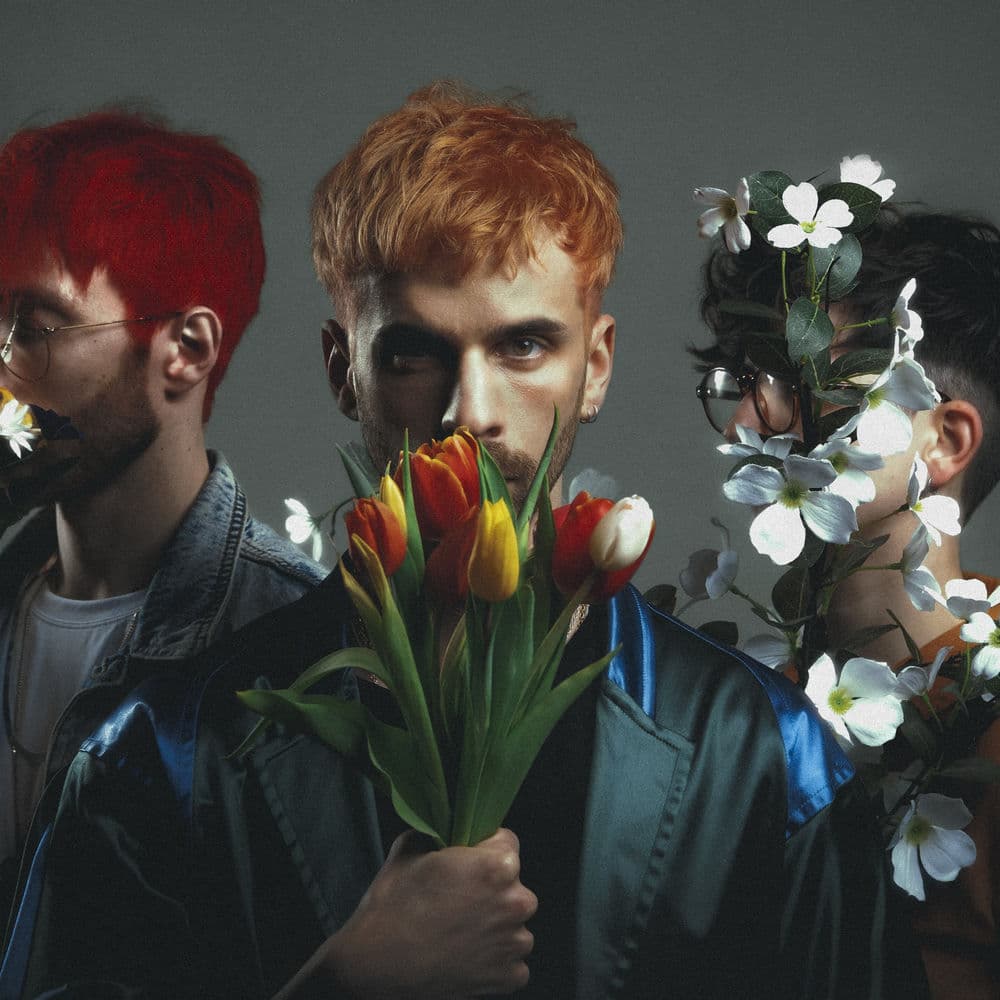 nonne – Alternative