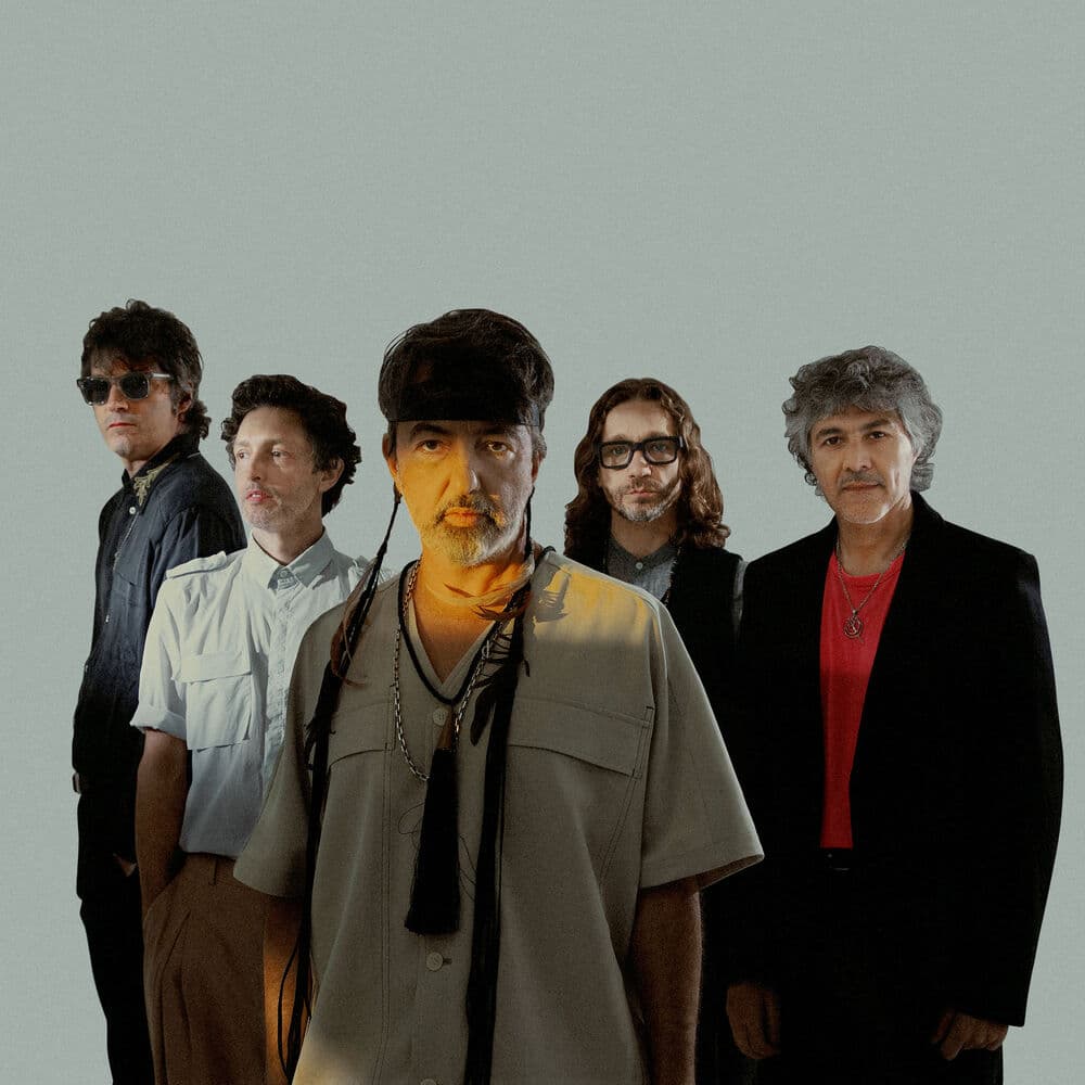 Babasónicos – Argentinian