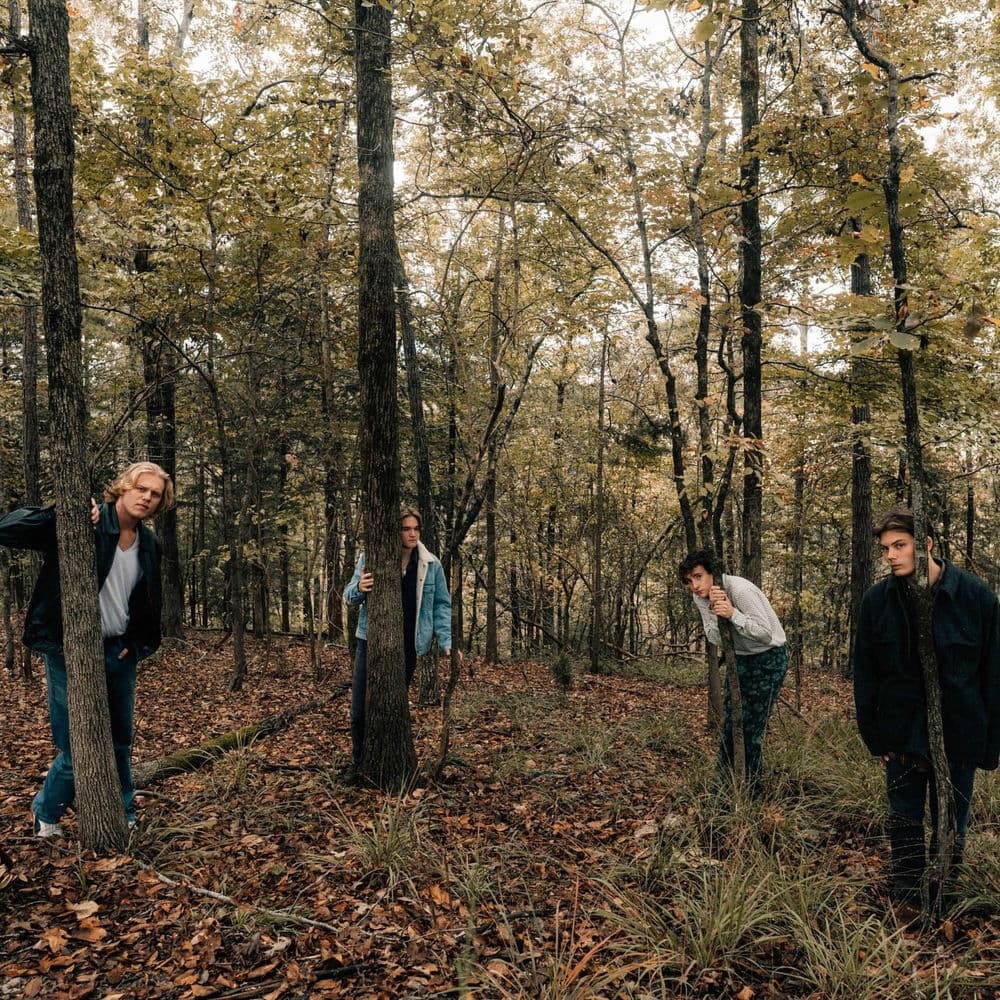 The Stews – Indie Rock