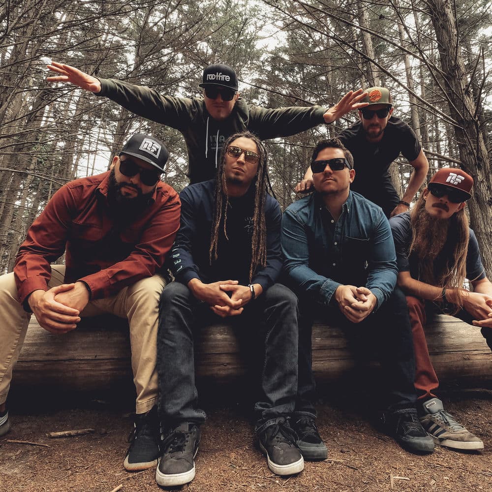 The Elovaters – Reggae