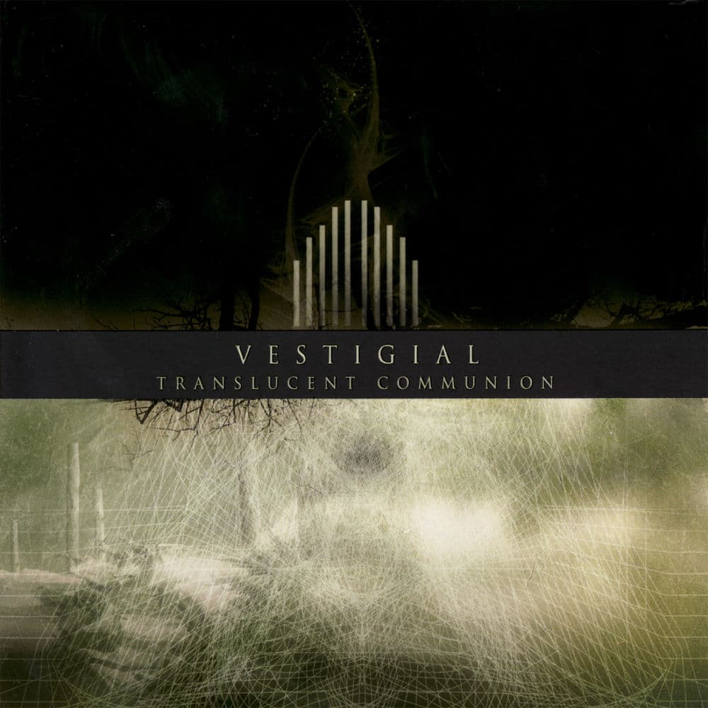 VESTIGIAL – Heavy Metal