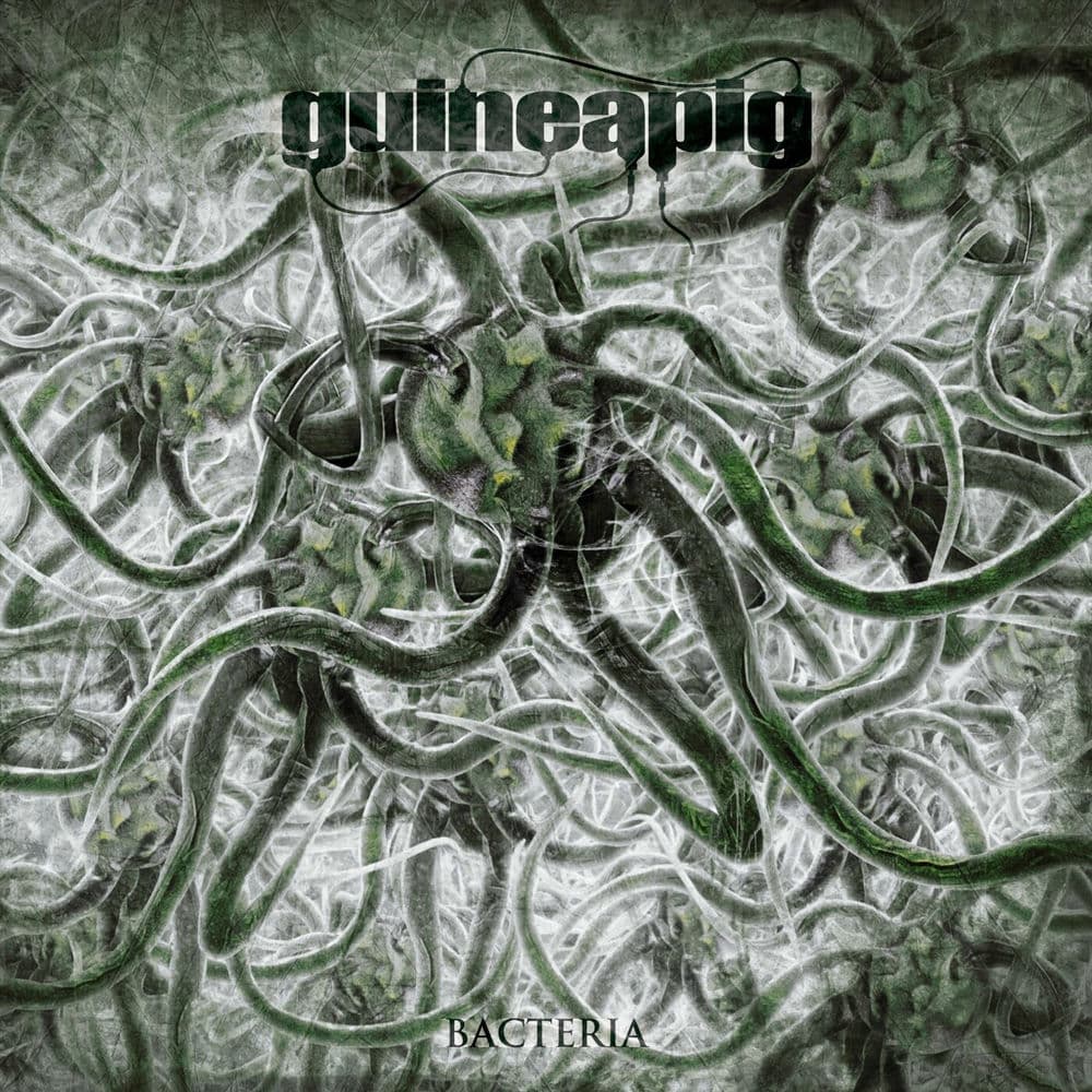 GUINEAPIG – Goregrind