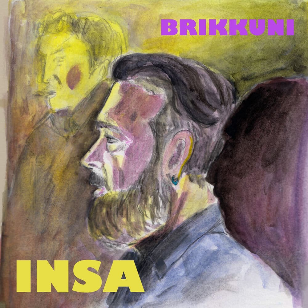Brikkuni