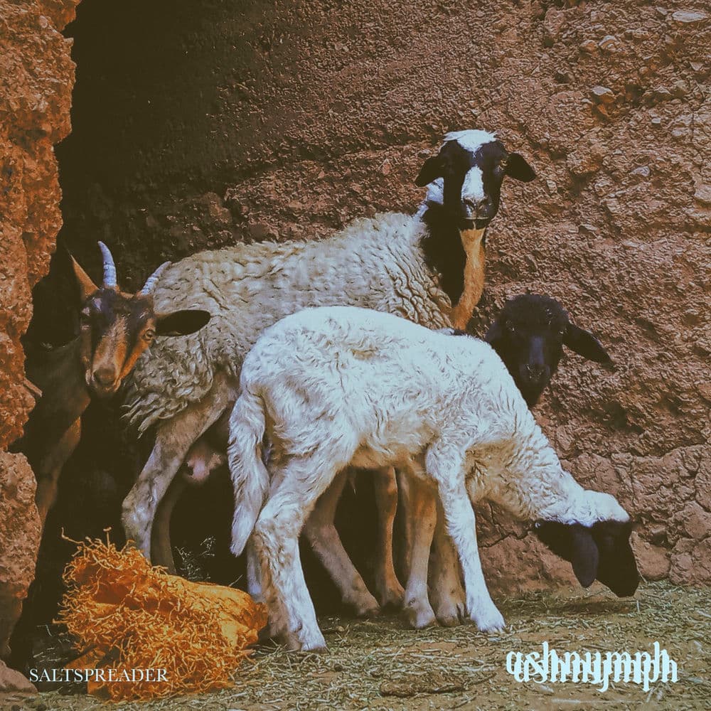 Ashnymph – Electro
