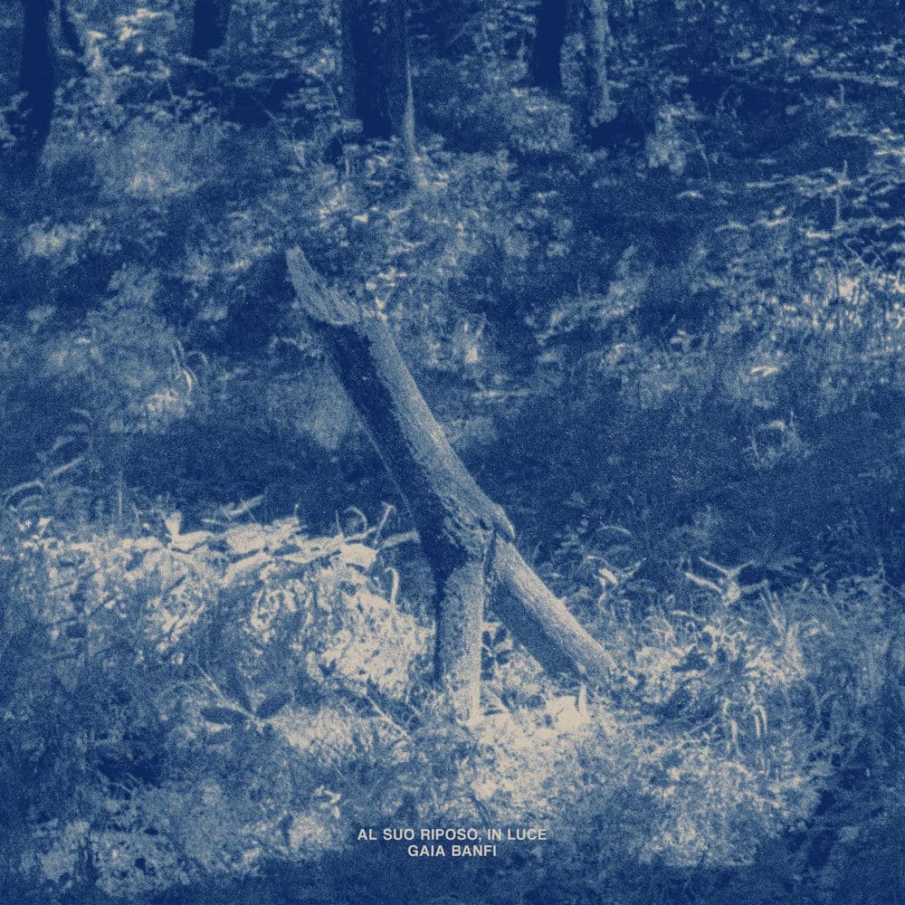GAIA BANFI – Electro