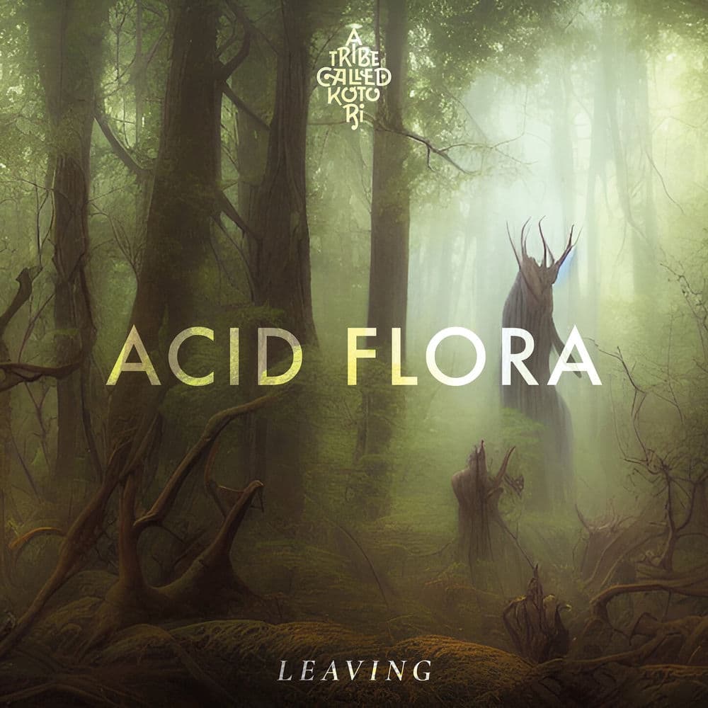 Acid Flora – Electro
