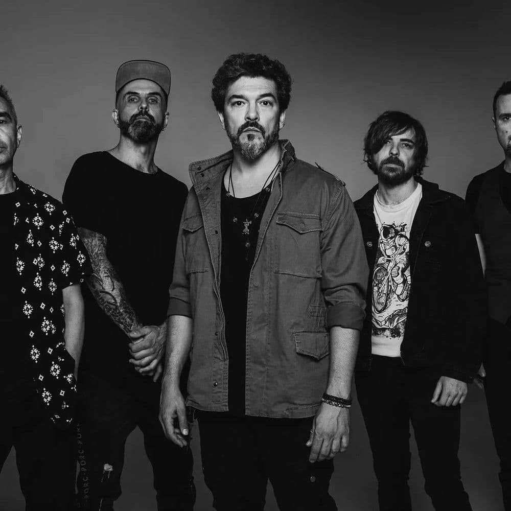 Vița de Vie – Pop