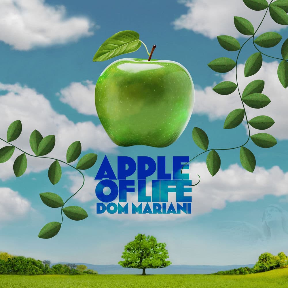 Dom Mariani – The Stems